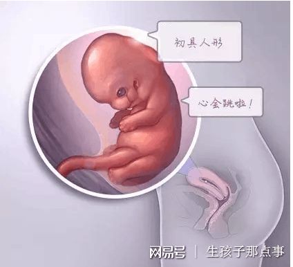 代怀服务代生医院